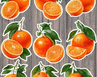 Oranges Die Cut Vinyl Sticker Set – Citrus Fruit Stickers for Laptop, Notebook & Water Bottle
