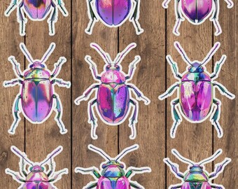 Purple Beetle Die Cut Sticker Set | Funny Sticker | Laptop Sticker | Water Bottle Sticker | Notebook Sticker