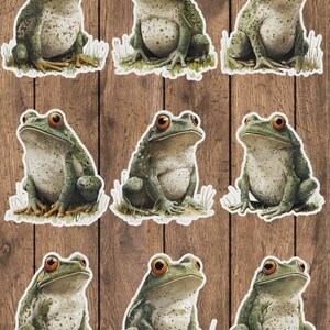 Sitting Frog Vinyl Die Cut Sticker Set | Funny Sticker | Laptop Sticker | Water Bottle Sticker | Notebook Sticker