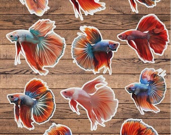 Betta Fish Die Cut Vinyl Sticker Set | Funny Sticker | Laptop Sticker | Water Bottle Sticker | Notebook Sticker