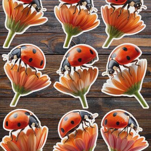 May include: A set of nine individual stickers featuring a ladybug perched on an orange flower. Each sticker shows a bright red ladybug with black spots resting on the petals of a vibrant orange blossom, captured in a clear, detailed illustration.