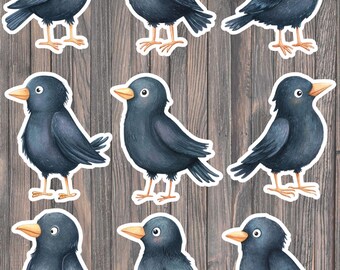 Cute Crow Die Cut Vinyl Sticker Set – For Notebook, Laptop, Water Bottle & Scrapbooking