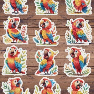 Cartoon Parrot Die Cut Vinyl Sticker Set | Funny Sticker | Laptop Sticker | Water Bottle Sticker | Notebook Sticker
