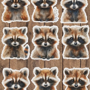 Silly Raccoon Die Cut Sticker Set | Funny Sticker | Laptop Sticker | Water Bottle Sticker | Notebook Sticker