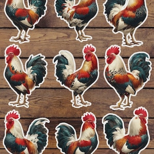 Chicken Vinyl Die Cut Sticker Set | Funny Sticker | Laptop Sticker | Water Bottle Sticker | Notebook Sticker