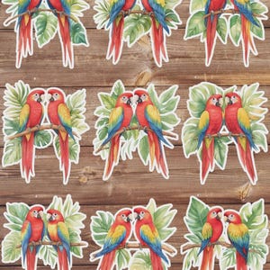 Vintage Style Macaw Parrot Die Cut Vinyl Sticker Set | Funny Sticker | Laptop Sticker | Water Bottle Sticker | Notebook Sticker