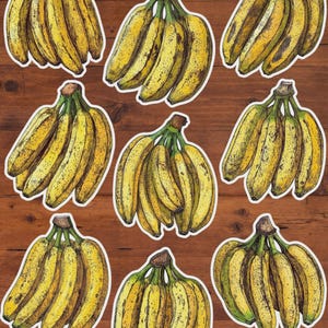 Ripe Bananas Vinyl Die Cut Sticker Set | Funny Sticker | Laptop Sticker | Water Bottle Sticker | Notebook Sticker