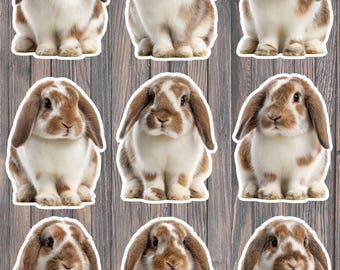 Floppy Eared Bunny Die Cut Vinyl Sticker Set – For Notebook, Laptop, Water Bottle & Scrapbooking