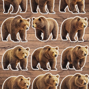 Brown Bear Vinyl Die Cut Sticker Set | Funny Sticker | Laptop Sticker | Water Bottle Sticker | Notebook Sticker