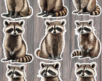 Raccoon Die Cut Vinyl Sticker Set – For Notebook, Laptop, Water Bottle & Scrapbooking