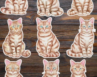 Striped Kitty Vinyl Die Cut Sticker Set | Funny Sticker | Laptop Sticker | Water Bottle Sticker | Notebook Sticker