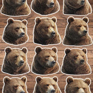 Brown Bear Head Vinyl Die Cut Sticker Set | Funny Sticker | Laptop Sticker | Water Bottle Sticker | Notebook Sticker