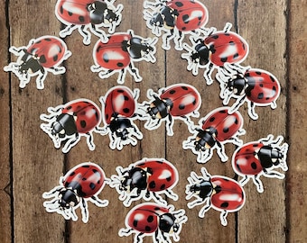 Ladybug Die Cut Vinyl Sticker Set – For Notebook, Laptop, Water Bottle & Scrapbooking