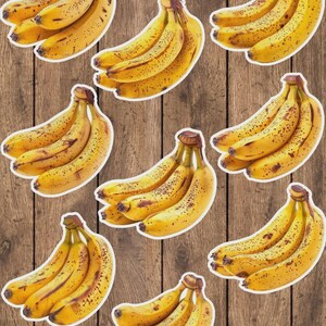 Bunch of Bananas Vinyl Die Cut Sticker Set | Funny Sticker | Laptop Sticker | Water Bottle Sticker | Notebook Sticker
