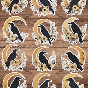Raven on The Moon Die Cut Sticker Set | Funny Sticker | Laptop Sticker | Water Bottle Sticker | Notebook Sticker