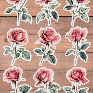 Vintage Style Rose Die Cut Vinyl Sticker Set | Funny Sticker | Laptop Sticker | Water Bottle Sticker | Notebook Sticker