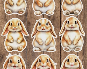 Bunny Vinyl Die Cut Sticker Set | Funny Sticker | Laptop Sticker | Water Bottle Sticker | Notebook Sticker