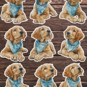 Golder Retriever Dog Vinyl Die Cut Sticker Set | Funny Sticker | Laptop Sticker | Water Bottle Sticker | Notebook Sticker
