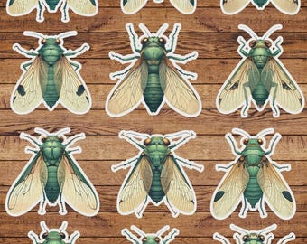 Cicada Beetle Bug Die Cut Vinyl Sticker Set – For Notebook, Laptop, Water Bottle & Scrapbooking