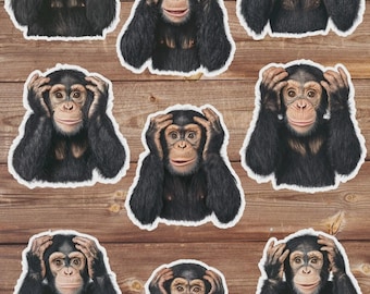Shocked Monkey Die Cut Sticker Set | Funny Sticker | Laptop Sticker | Water Bottle Sticker | Notebook Sticker