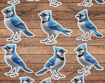 Blue Jay Bird Vinyl Die Cut Sticker Set | Funny Sticker | Laptop Sticker | Water Bottle Sticker | Notebook Sticker