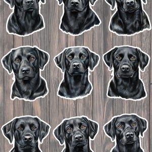 May include: Nine stickers featuring detailed illustrations of black Labrador Retrievers. Each sticker showcases a close-up of the dog's head, with a focus on its dark fur, brown eyes, and expressive face. The stickers are set against a wooden background.