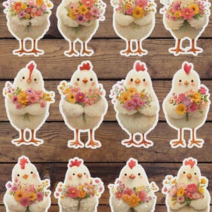 Chick With Flowers Vinyl Die Cut Sticker Set | Funny Sticker | Laptop Sticker | Water Bottle Sticker | Notebook Sticker