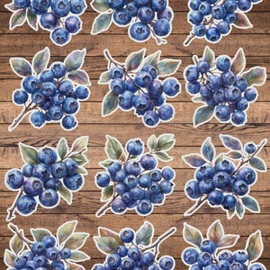 Bunch of Blueberries Die Cut Sticker Set | Funny Sticker | Laptop Sticker | Water Bottle Sticker | Notebook Sticker