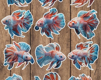 Beautiful Fish Vinyl Die Cut Sticker Set | Funny Sticker | Laptop Sticker | Water Bottle Sticker | Notebook Sticker