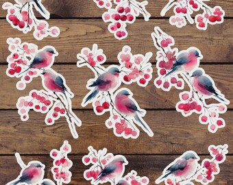 Watercolor Birds Vinyl Die Cut Sticker Set | Funny Sticker | Laptop Sticker | Water Bottle Sticker | Notebook Sticker