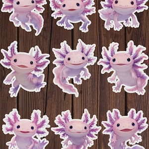 Axolotl Vinyl Die Cut Sticker Set | Funny Sticker | Laptop Sticker | Water Bottle Sticker | Notebook Sticker