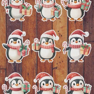 Christmas Penguin Die Cut Vinyl Sticker Set | Funny Sticker | Laptop Sticker | Water Bottle Sticker | Notebook Sticker