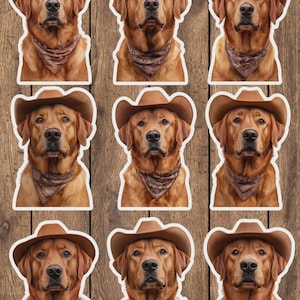 Cowboy Retriever Vinyl Die Cut Sticker Set | Funny Sticker | Laptop Sticker | Water Bottle Sticker | Notebook Sticker