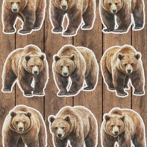 Brown Bear Vinyl Die Cut Sticker Set | Funny Sticker | Laptop Sticker | Water Bottle Sticker | Notebook Sticker
