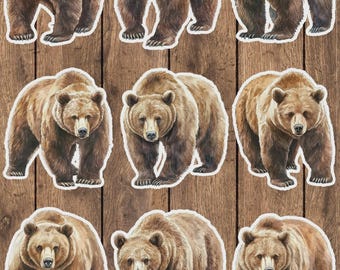 Brown Bear Vinyl Die Cut Sticker Set | Funny Sticker | Laptop Sticker | Water Bottle Sticker | Notebook Sticker