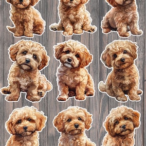 May include: A collection of nine stickers featuring adorable, light brown puppies with fluffy fur. Each puppy is depicted in a sitting position, with a white border, against a wooden background. The stickers are ideal for decorating various items.