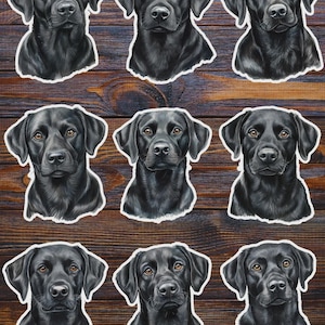 May include: Nine stickers featuring detailed illustrations of black Labrador Retrievers. Each sticker showcases a different portrait of the dog's head and upper chest, with a white border. The dogs have brown eyes and are set against a wooden background.