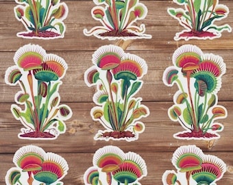 Venus Fly Trap Vinyl Die Cut Sticker Set | Funny Sticker | Laptop Sticker | Water Bottle Sticker | Notebook Sticker Scrapbooking