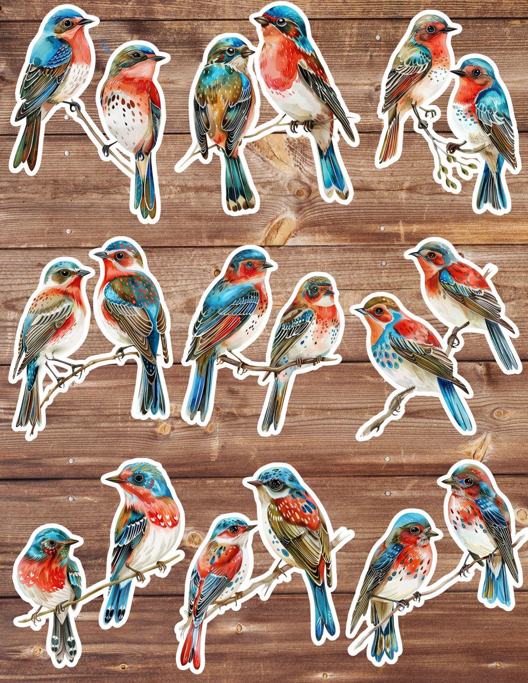 Red and Blue Birds Sticker Set | Funny Sticker | Laptop Sticker | Water ...