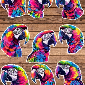 Colorful Parrot Die Cut Vinyl Sticker Set | Funny Sticker | Laptop Sticker | Water Bottle Sticker | Notebook Sticker