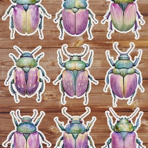 Beetle Die Cut Sticker Set | Funny Sticker | Laptop Sticker | Water Bottle Sticker | Notebook Sticker