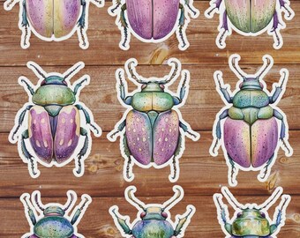 Beetle Die Cut Sticker Set | Funny Sticker | Laptop Sticker | Water Bottle Sticker | Notebook Sticker