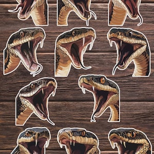 Cobra Snake Vinyl Die Cut Sticker Set Funny Sticker Laptop Sticker Water Bottle Sticker Notebook Sticker