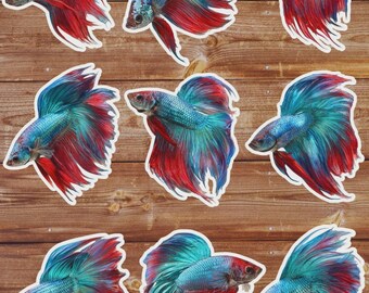 Betta Fish Die Cut Vinyl Sticker Set | Funny Sticker | Laptop Sticker | Water Bottle Sticker | Notebook Sticker