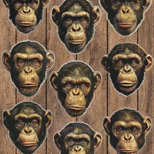 May include: Nine chimpanzee head stickers with detailed facial features and a realistic appearance. The stickers have a brown and tan color palette, with a dark brown outline. The stickers are arranged on a wooden background.