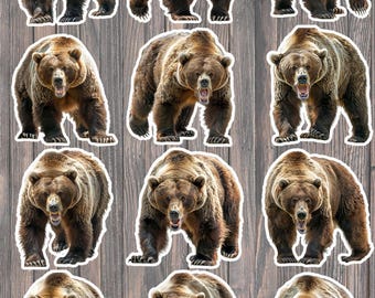 Growling Brown Bear Vinyl Die Cut Sticker Set Sticker Laptop Sticker Water Bottle Sticker Notebook Sticker Scrapbooking