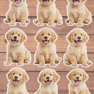 Golder Retriever Puppy Vinyl Die Cut Sticker Set | Funny Sticker | Laptop Sticker | Water Bottle Sticker | Notebook Sticker