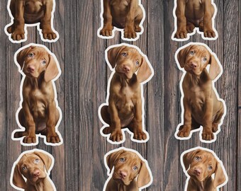 Ensemble d'autocollants en vinyle découpés représentant un chiot Vizsla – Adorables autocollants pour ordinateur portable, carnet et gourde