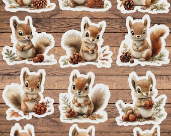 Woodland Squirrel Vinyl Die Cut Sticker Set | Funny Sticker | Laptop Sticker | Water Bottle Sticker | Notebook Sticker