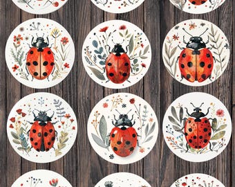 Round Ladybug Die Cut Vinyl Stickers | Nature, Laptop, Water Bottle Decals